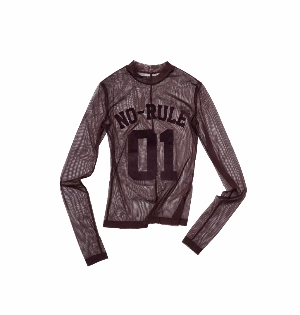 IN STOCK ♱ NO-RULE SHEER JERSEY TOP