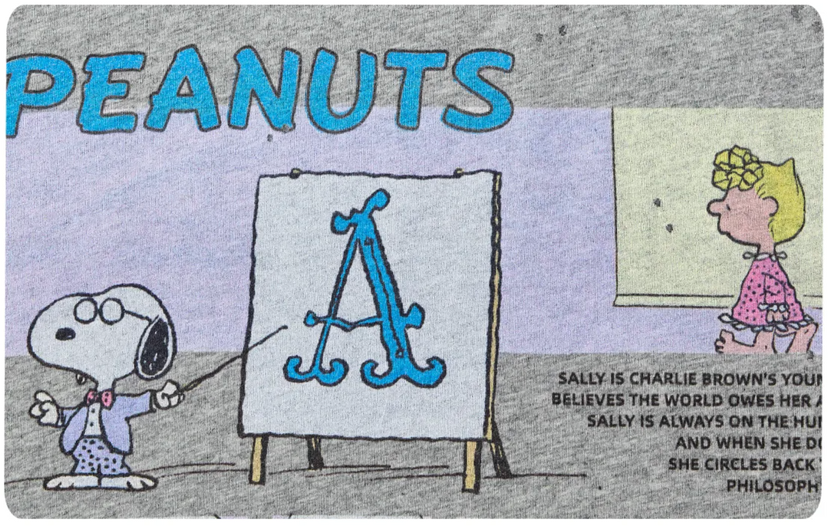 PEANUTS DISTRESSED COMIC T-SHIRT – 4styles