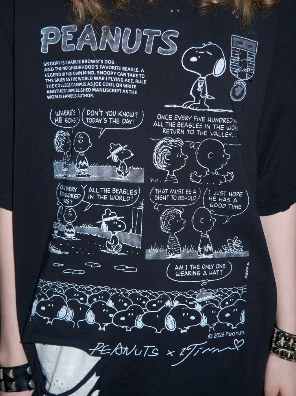 PEANUTS DISTRESSED COMIC T-SHIRT – 4styles