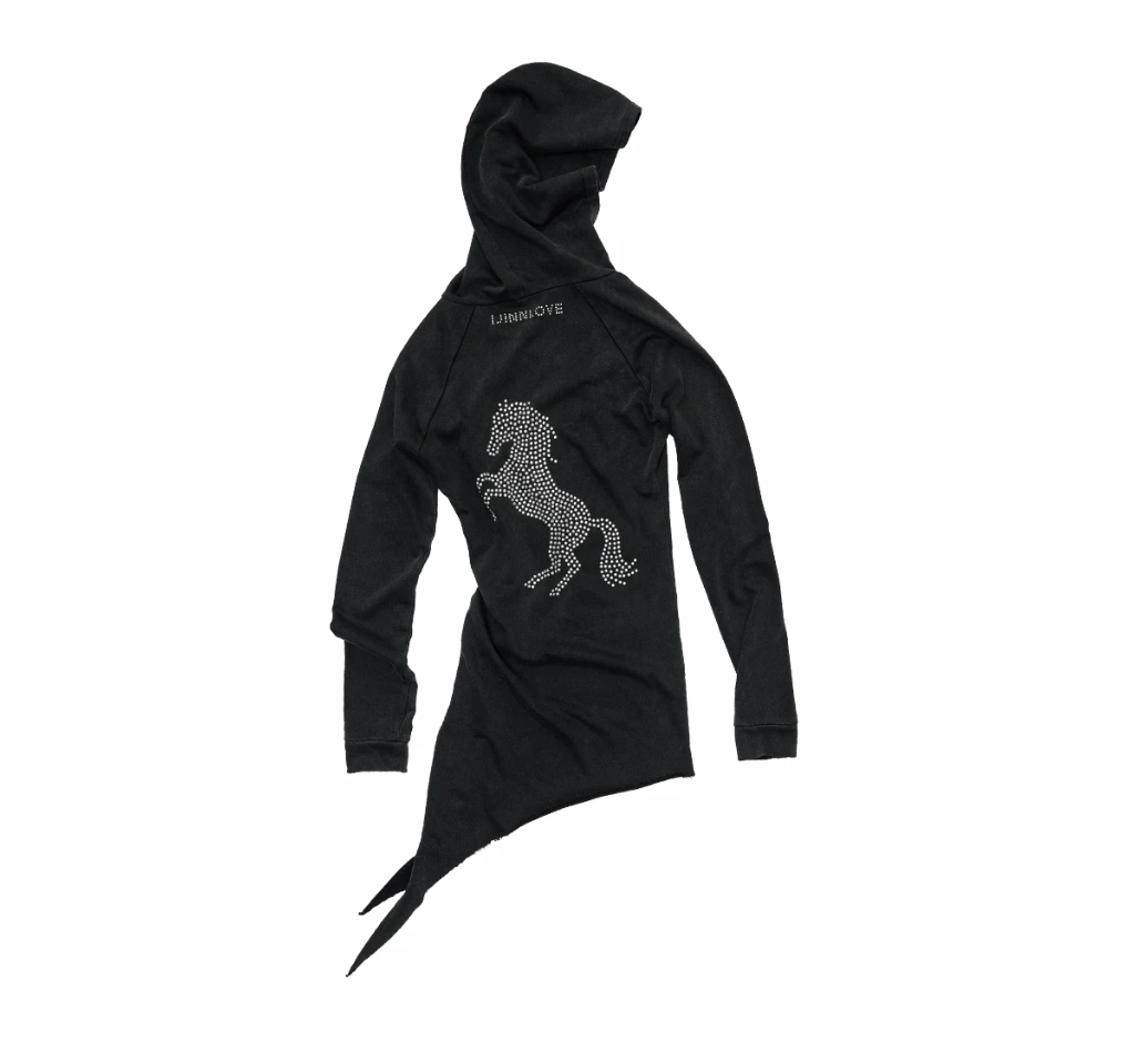IN STOCK ♱ MORAY HOODIE DRESS ♱ 2colors